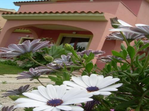 Ariedo Bed And Breakfast Capoterra Pokoj fotografie